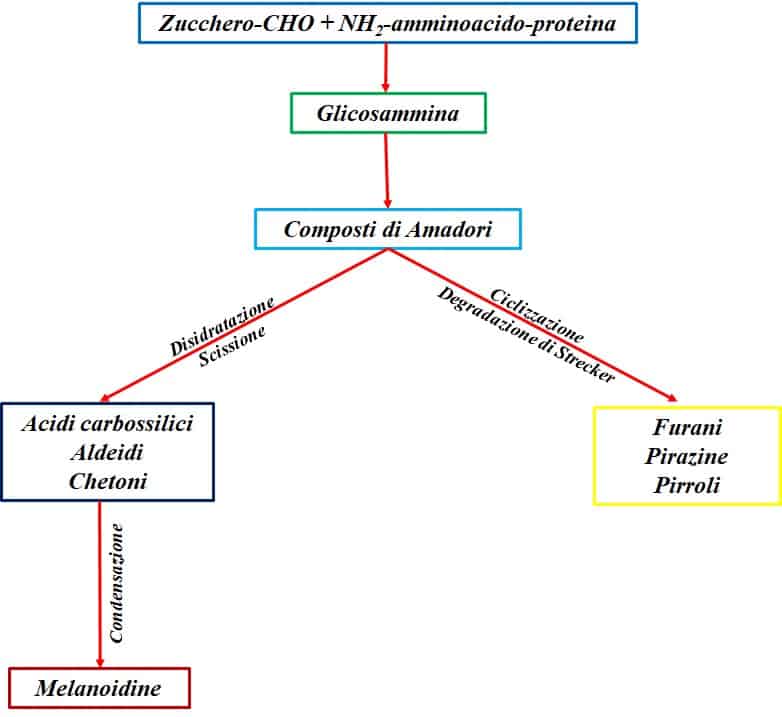 torrefazione del caffè maillard