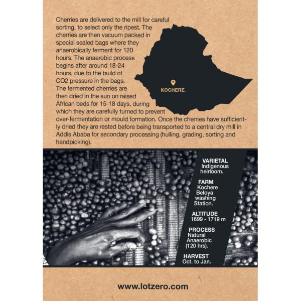 L0 Specialty Ethiopia Beloya Bus Beans 250 g